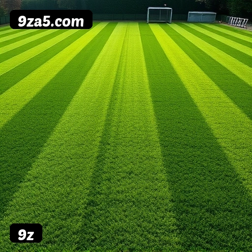 6 vantagens exclusivas do programa VIP da 9z