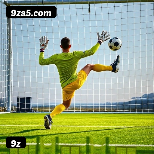 Níveis do programa VIP da 9z